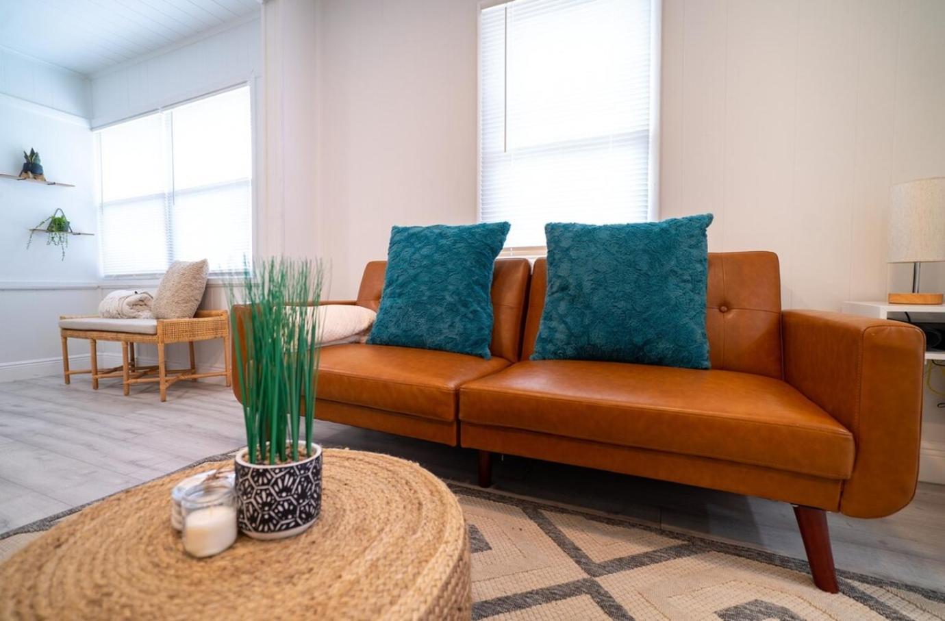 Homey Cozy Newly Renovated Stylish&Chic 7 Guests Tampa Eksteriør bilde