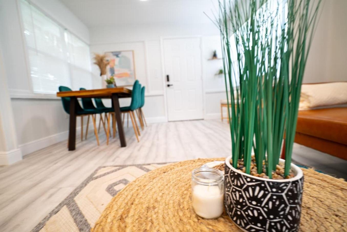 Homey Cozy Newly Renovated Stylish&Chic 7 Guests Tampa Eksteriør bilde